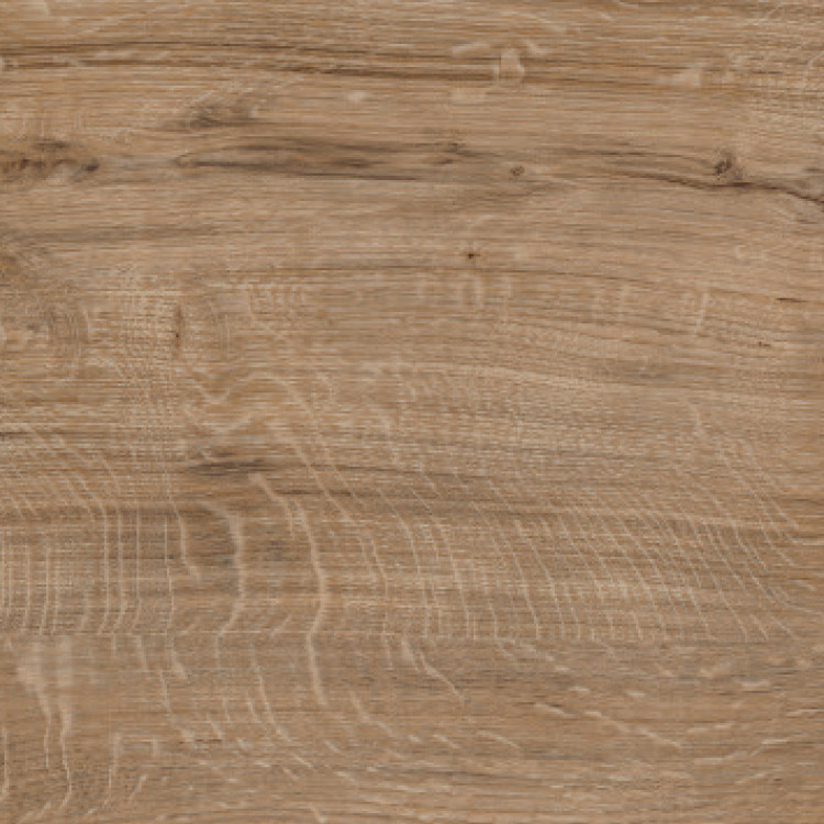 Featured Oak, SF3W2533