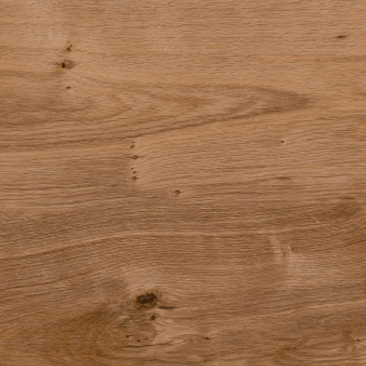 English Oak, SF3W2498