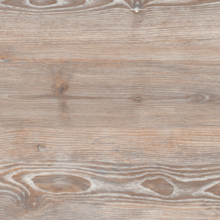 Worn Ash, SF3W2539