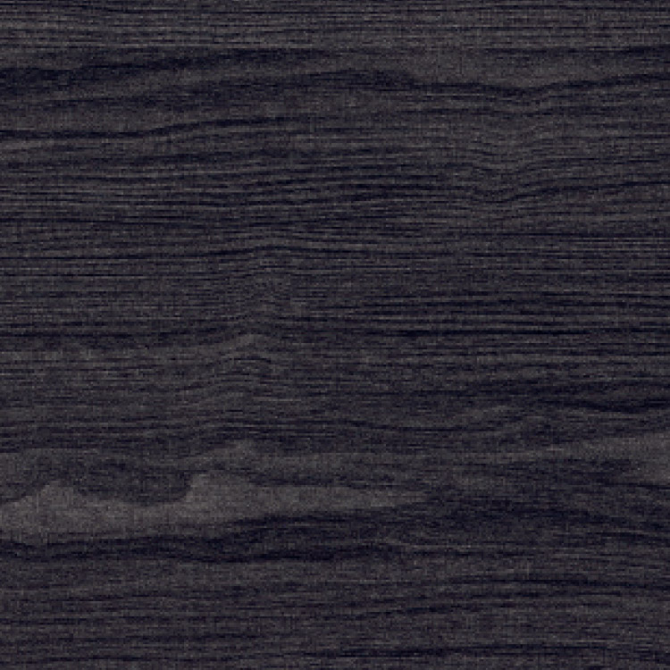 Shadow Oak, SF3W5022