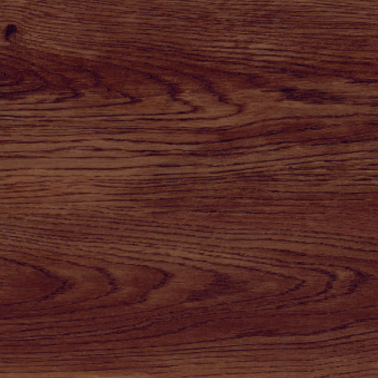 Tudor Oak, SF3W2495