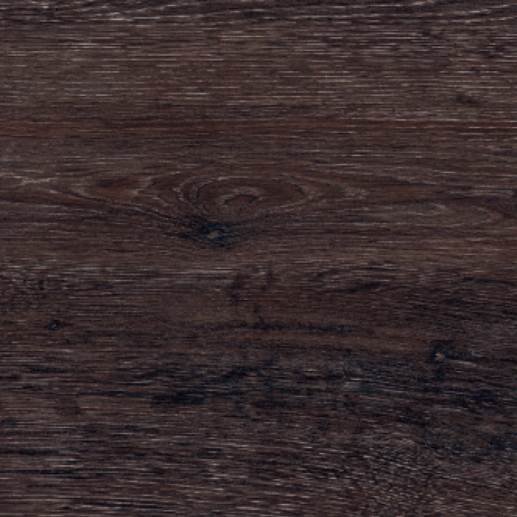Admiral Oak, SF3W2551
