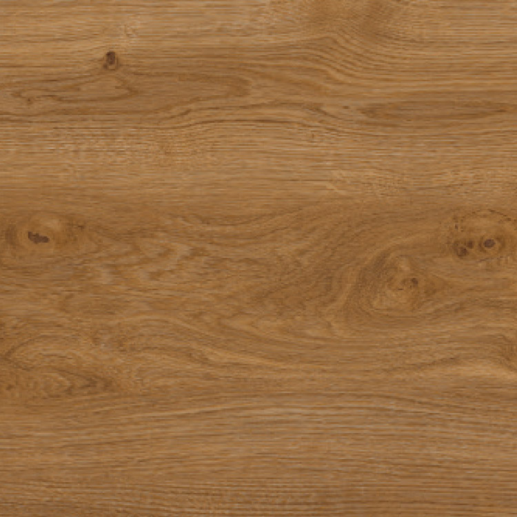 Traditional Oak, SF3W2514