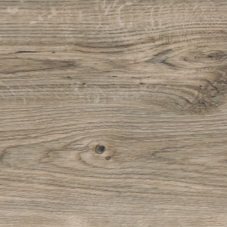 Sun Bleached Oak, SF3W2531